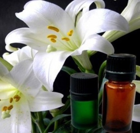 Lily of the Valley Essential Oil- Benefits, Uses, and Origin